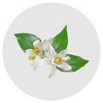 Neroli