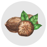 Nutmeg