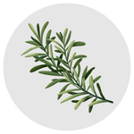 Rosemary
