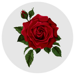 Turkish Rose